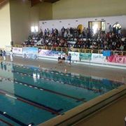 CAMPIONATI REGIONALI NUOTO FISDIR FINP 2014
