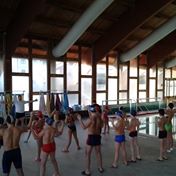 NUOTO & ASSEMBLEA 18 gen 2014.