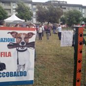 MEMORIES "MAI DIRE BAU"  Braccobaldo & Lucky